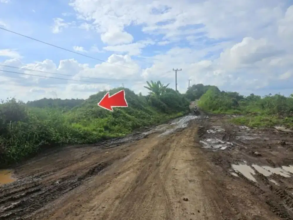 TANAH KOSONG LUAS