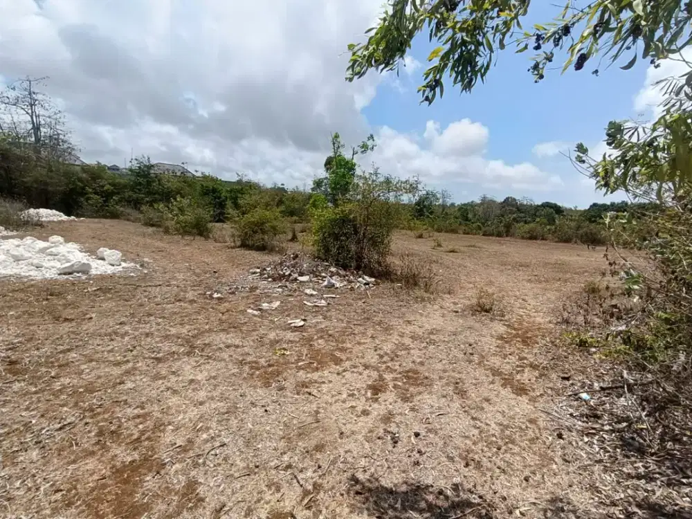 [PRIME LOCATION] 1,300 sqm (13 Are) Yellow Zone Land on Jl. Pura Masuka, Ungasan – Ideal for Villa Complex / Homestay
