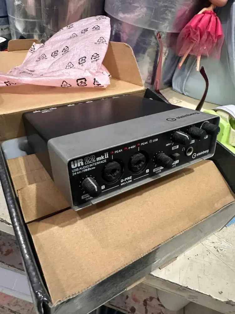 Steinberg UR22 MK II (Audio Interface)