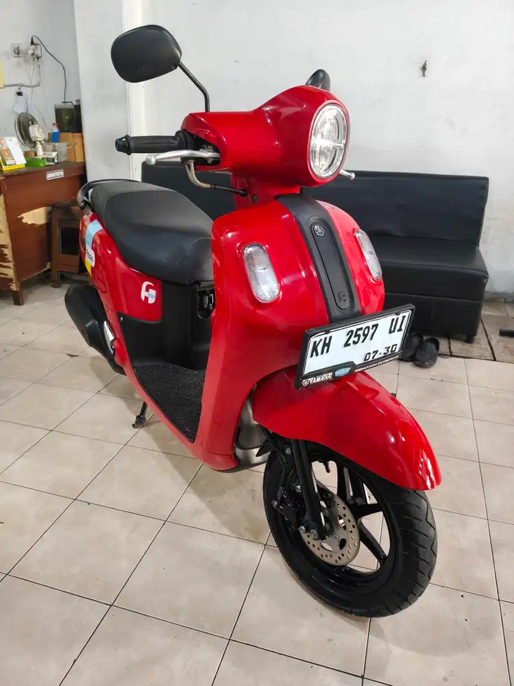 Fazzio keyles istimewa