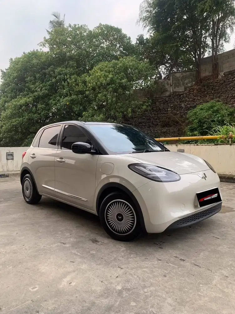 Binguo EV Premium 410km 2024