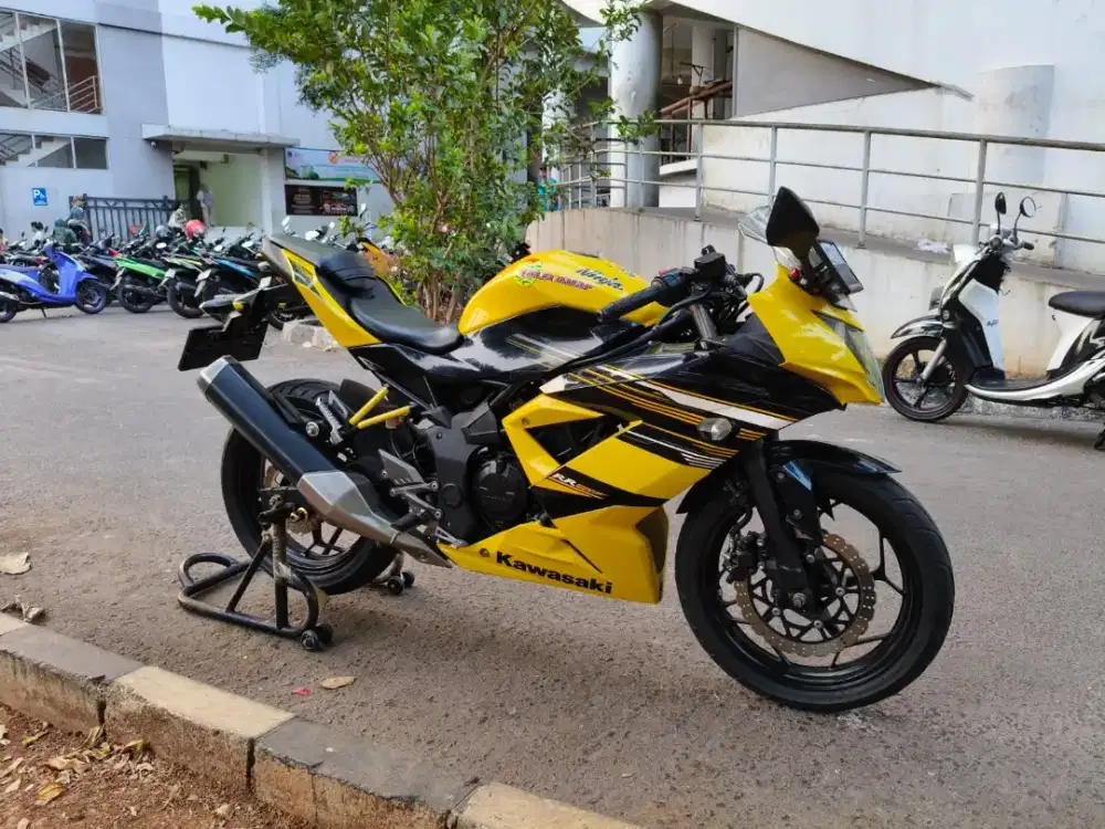 Kawasaki Ninja Mono 250cc Tahun 2015