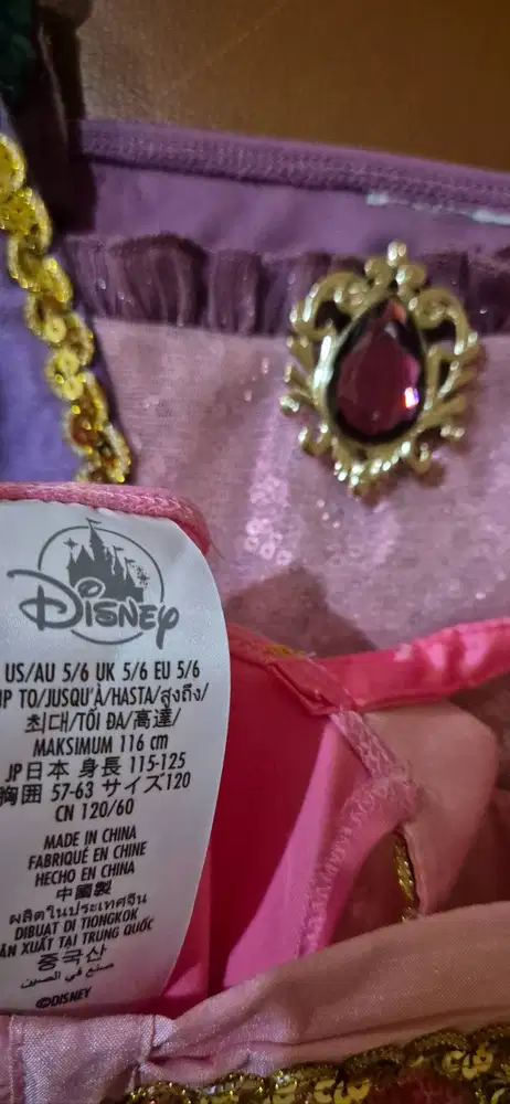 Dresses Princess Tangled Rapunzel Dress Asli beli di Tokyo Disneyland