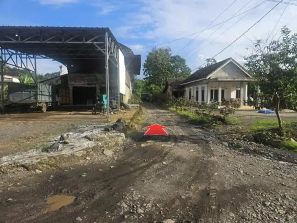TANAH PERKEBUNAN LUAS