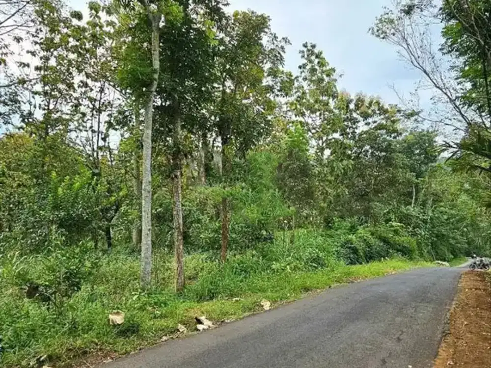 JUAL CEPAT TANAH SIAP BANGUN Ds. Dalisodo Malang