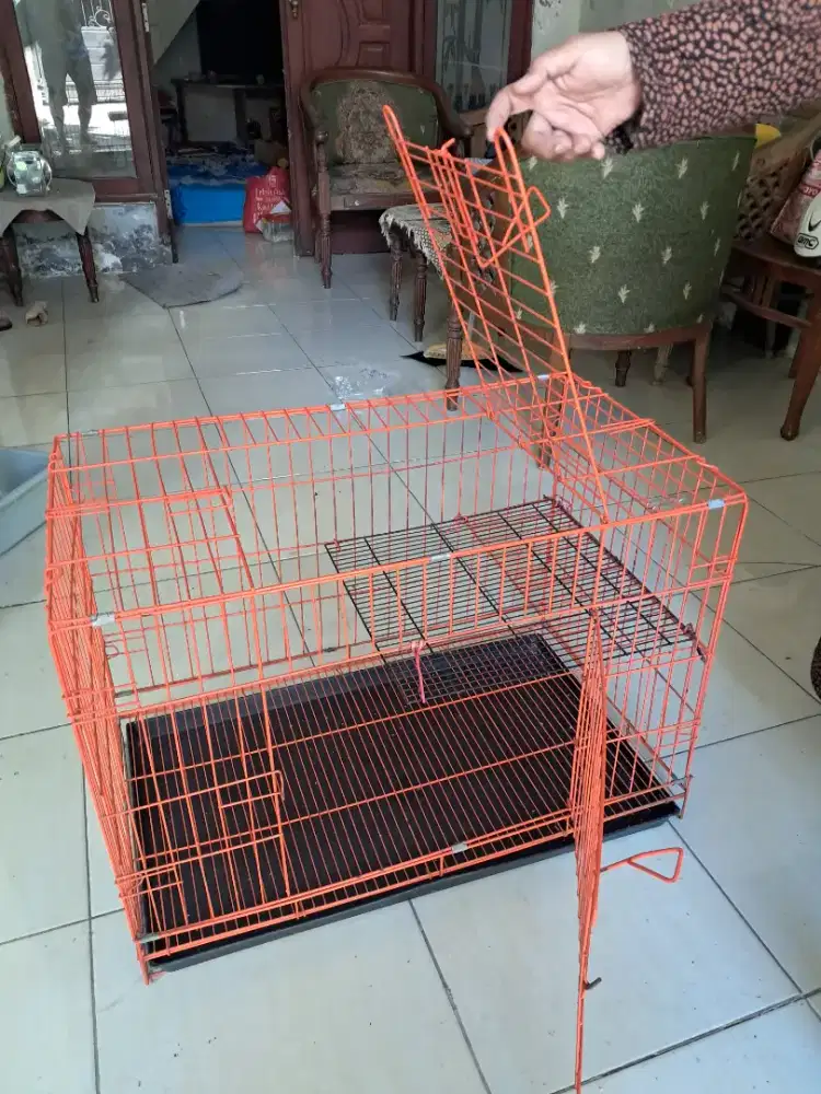 Kandang kucing Jumbo
