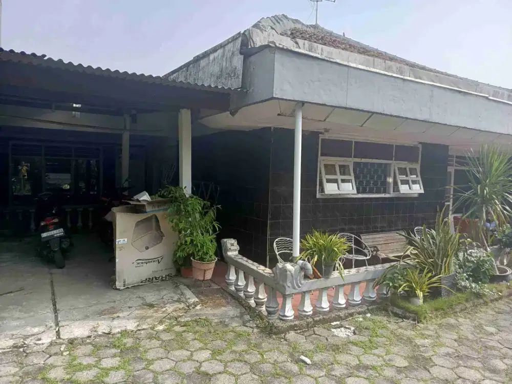 rumah bernuansa tropis