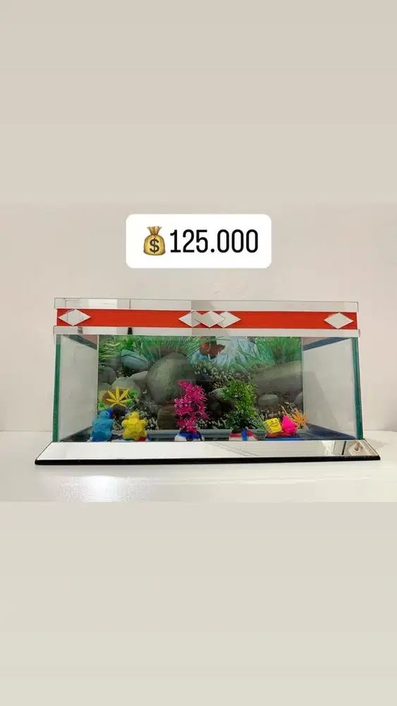 JUAL AQUARIUM BANJARMASIN