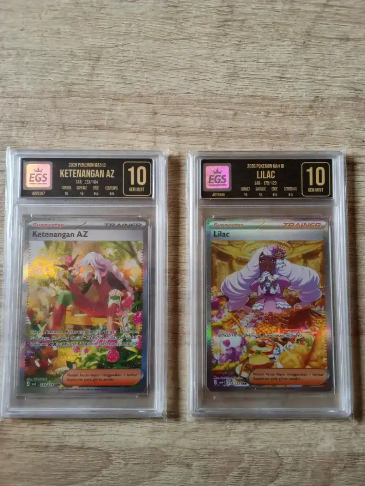 Pokemon SAR Gem Mint 10 EGS