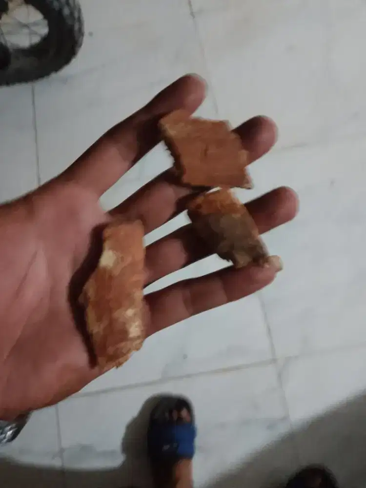 Info tempat jual beli kayu lawang