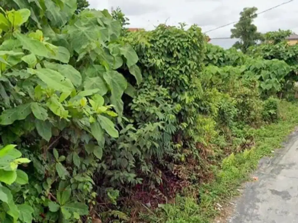 Dijual tanah kosong jl. umban sari atas rumbai pekanbaru