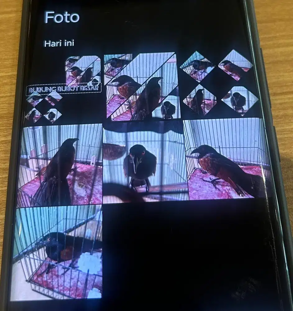 Di jual cepat di gambar