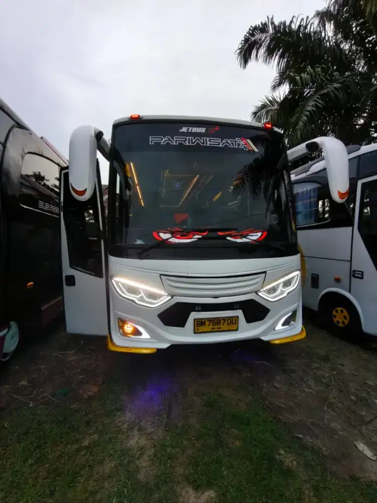 BUS MEDIUM 2019 FE84 BC