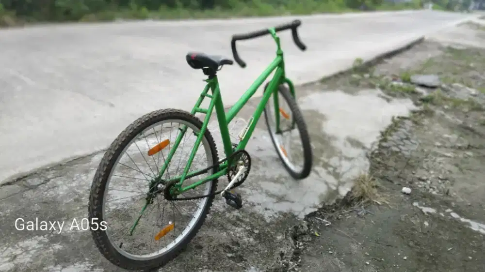 Sepeda phonix biasa warna hijau