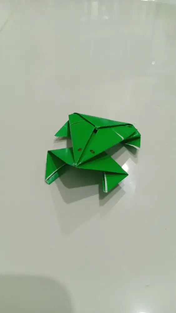 Origami Katak Baru