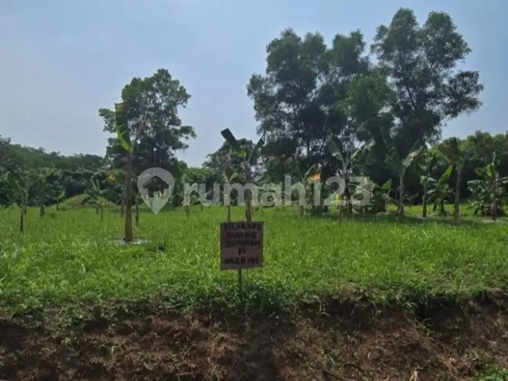 Dijual Tanah Industri Bunder Jatake Luas 3700M SHM Akses Kontainer 20 Feet Dekat Tol Bitung