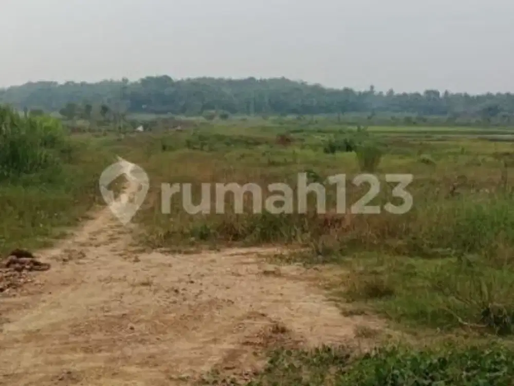 Dijual Tanah Industri Super Langka 200 Hektar Depan Exit Tol Tunjung Teja Serang SHM Murah