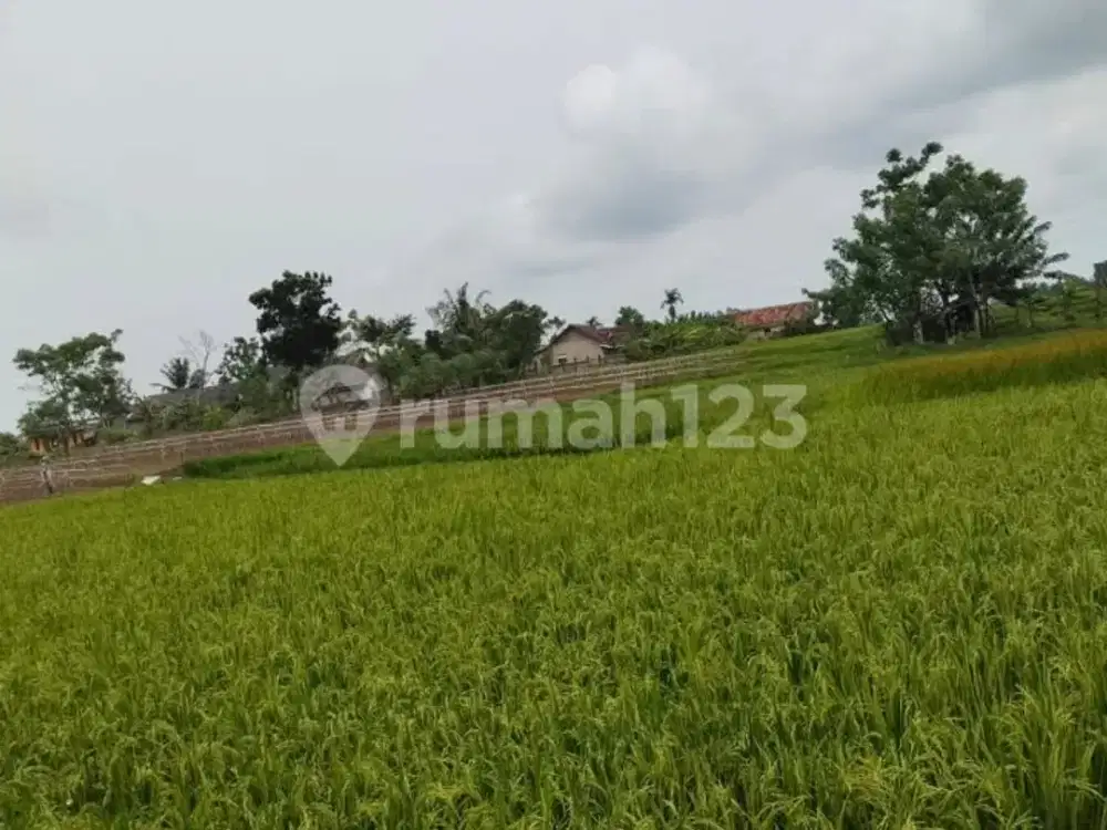 Di Jual Tanah 150000M2 (15Ha) Lokasi Serang Cikande