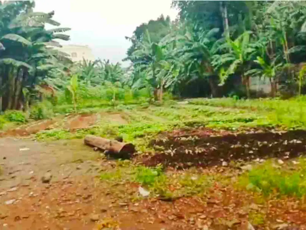 Dijual Tanah di Pinggir Jalan Raya Ciater Serpong, Tangerang Selatan