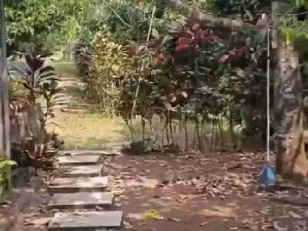 di jual rumah/villa kebun di Jasinga bogor