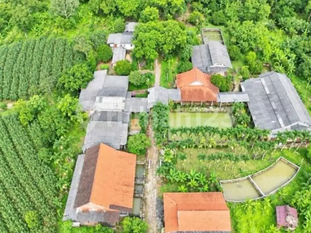 Dijual Lahan Premium Berupa Lahan Kebun Beserta Resto dan Resort di Kawasan Pegunungan Mojokerto