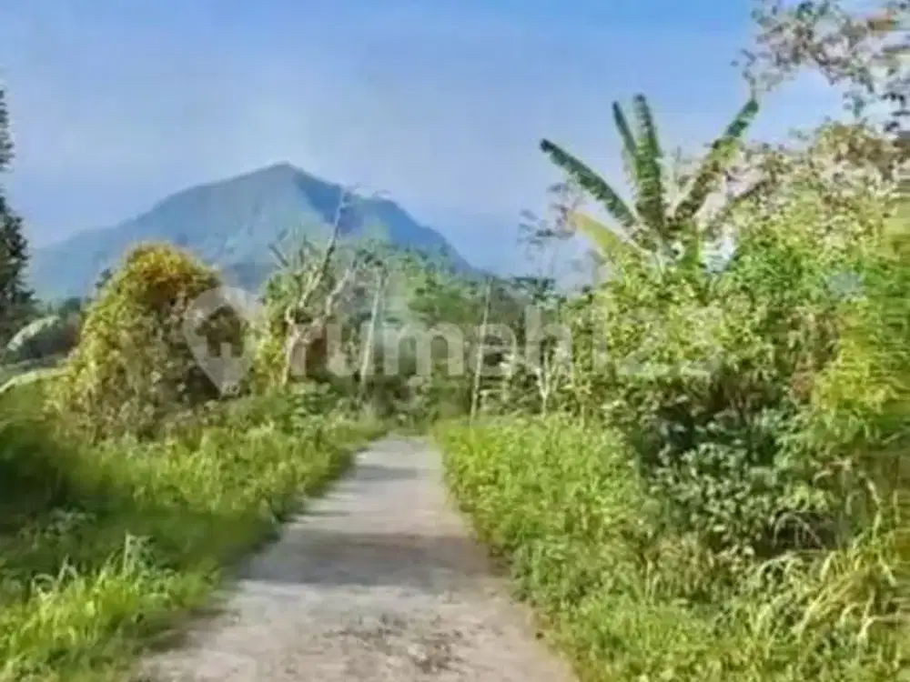 Dijual Tanah Komersial Premium di Kawasan Wisata Turyapada Tower - Buleleng - Bali Utara