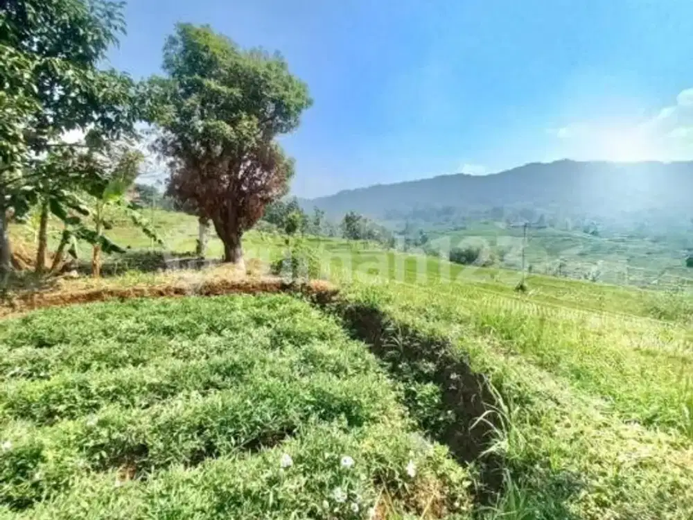 Dijual Tanah Strategis di Nagrek - Bandung