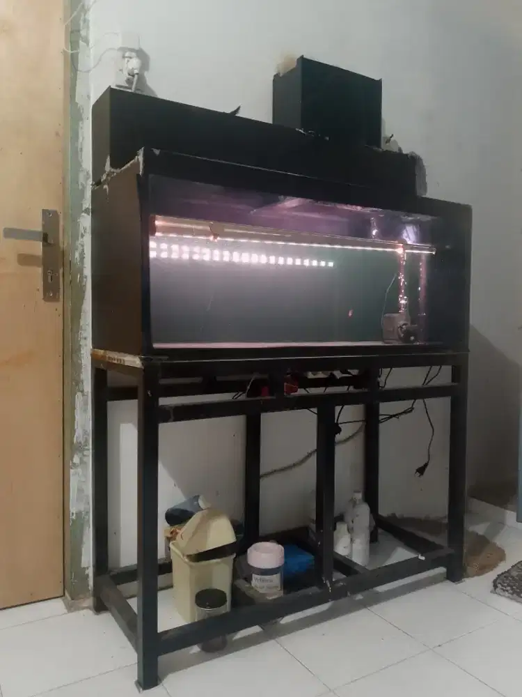 Aquarium ikan murah