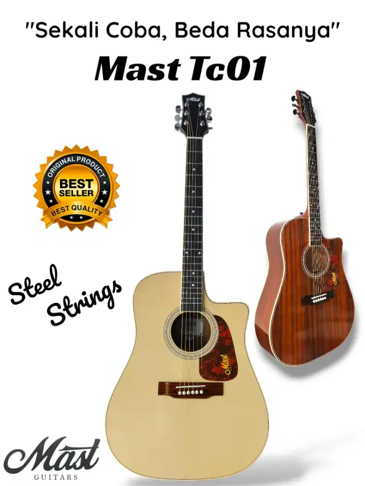 Gitar Mast Tc 01 Original