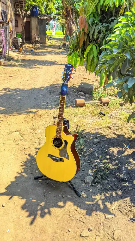 Gitar Akustik Taylor High Quality Baru