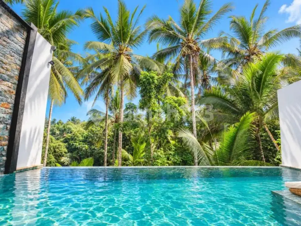Villa Rice View Fully Furnished SHM 2 Bedroom In Ubud