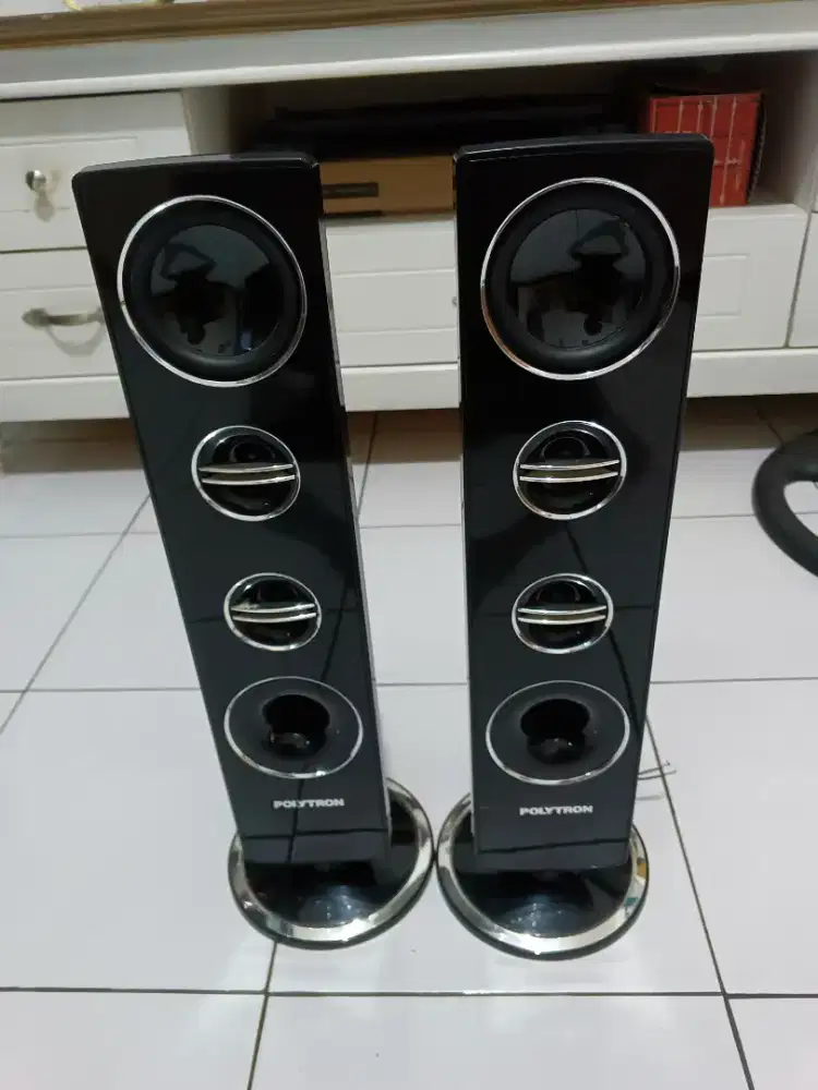 Polytron speaker
