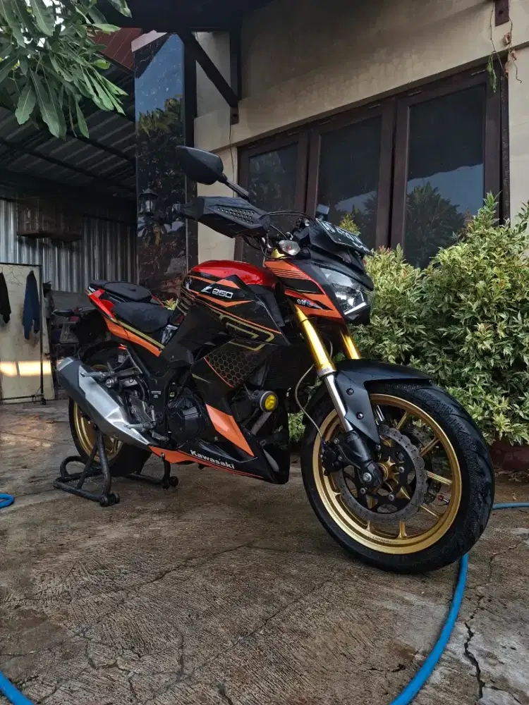 Kawasaki Z 250 2014