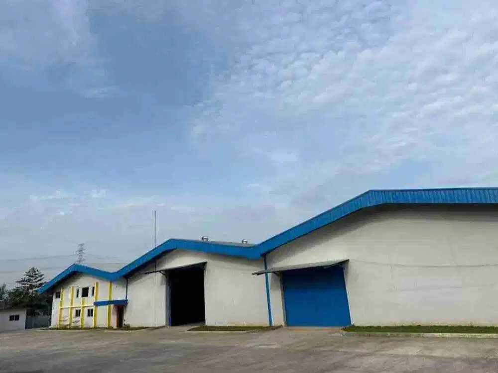 gedung pabrik karton kuat kokoh
