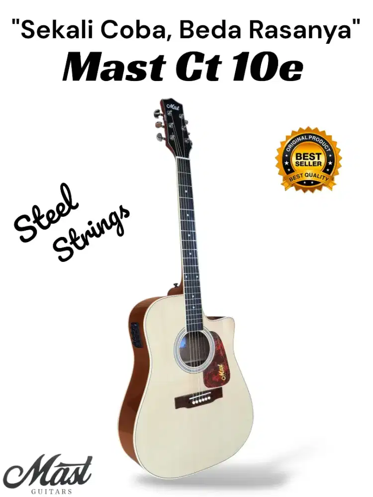 Gitar Mast Tc 01e Original
