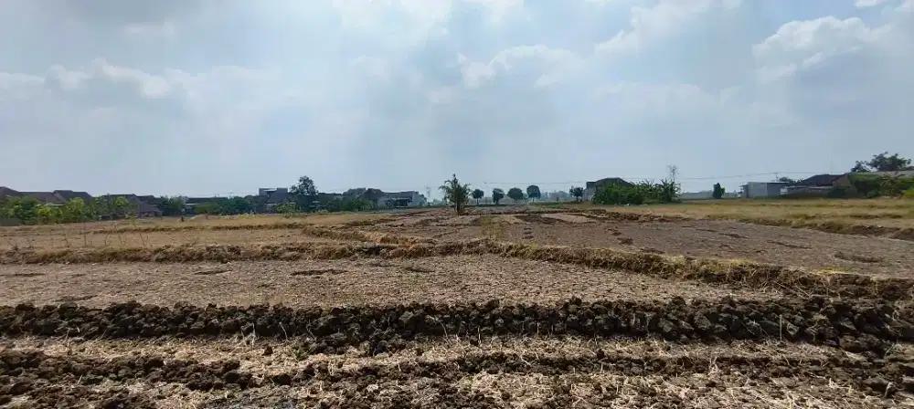 Jual Tanah SHM Balongpanggang Gresik