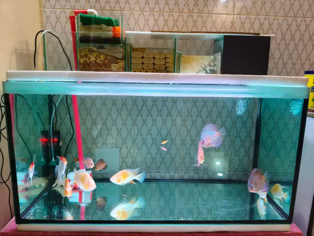 Satu Set Aquarium beserta media filter dll