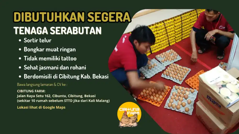 LOWONGAN TENAGA SERABUTAN