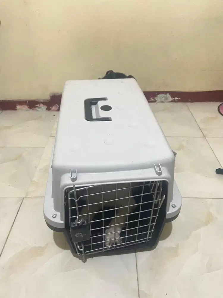 Pet Cargo Medium Size