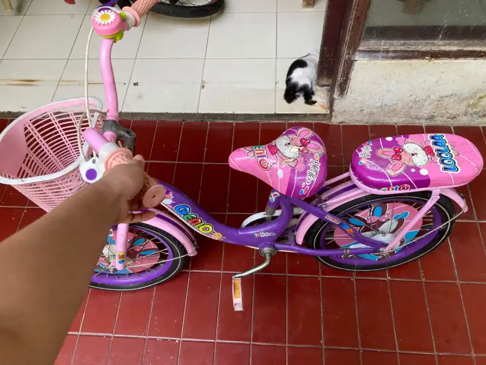 Sepeda anak pink