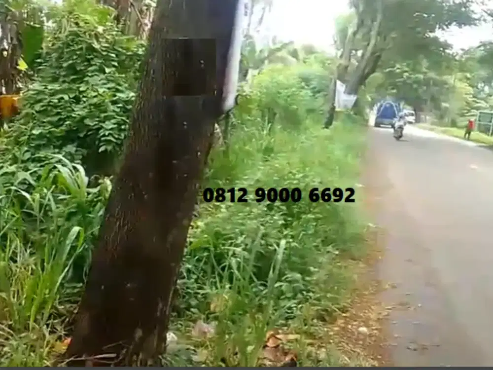 Jual Tanah Lahan Pinggir Jalan Raya Tegal Kunir Kidul Kec mauk tangerang