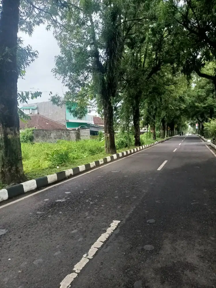 Tanah Pekarangan Komplek Perkantoran Pemda Sleman