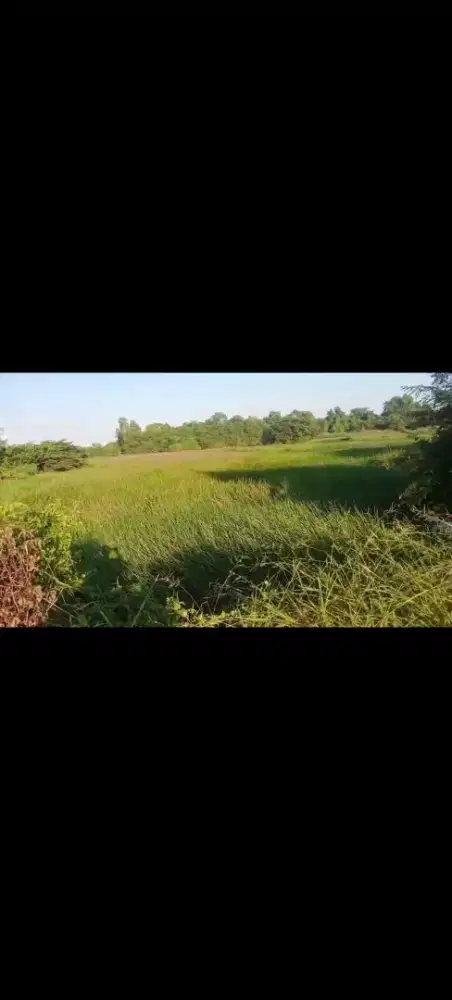TAMBAK kab.Sampang
