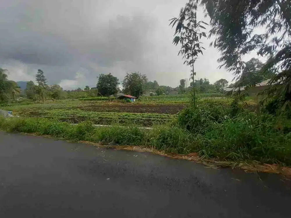 DIJUAL CEPAT TANAH CANTIK DAERAH KAUDITAN, HARGA MURAH