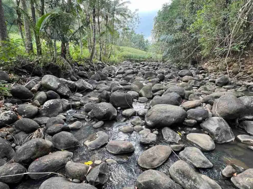 jual tanah kebun view sawah los sungai di tabanan bali