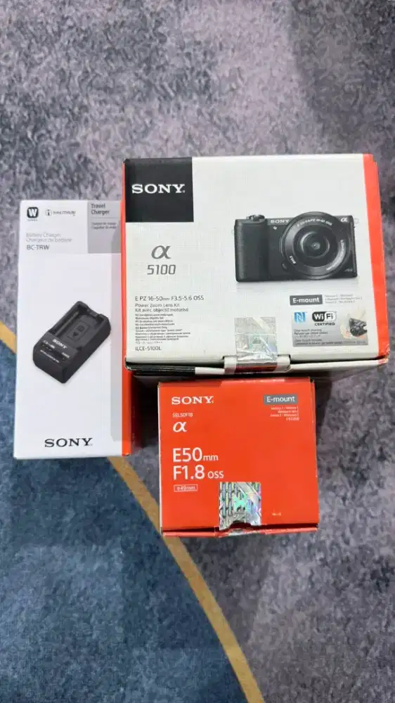 Camera Sony a5100
