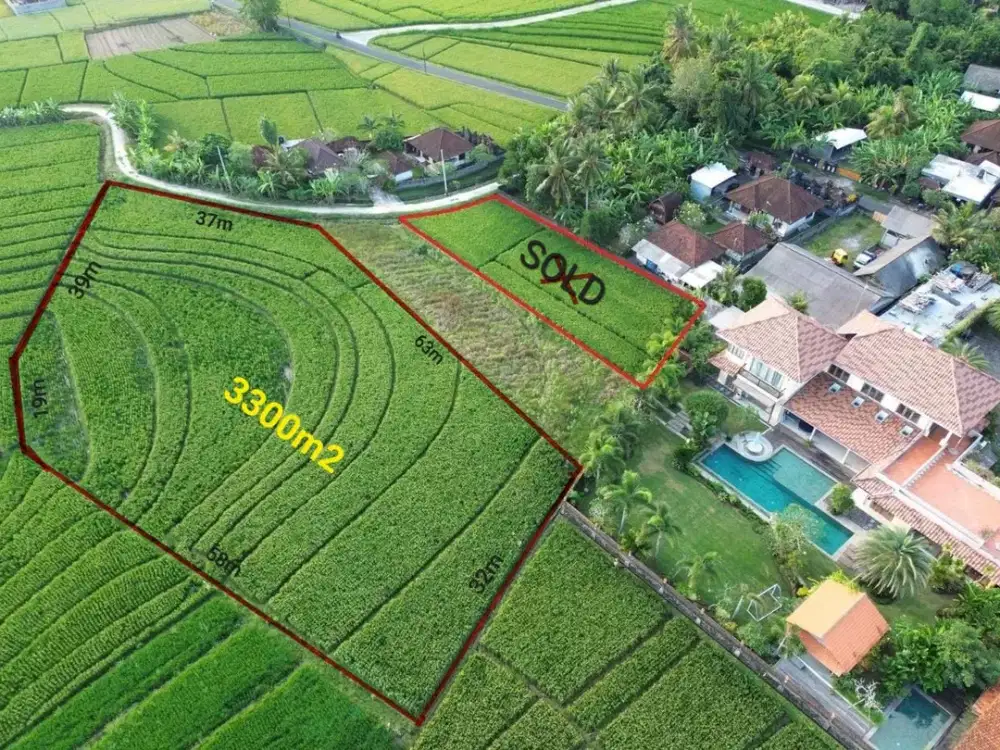 Tanah view sawah pasut tabanan bali