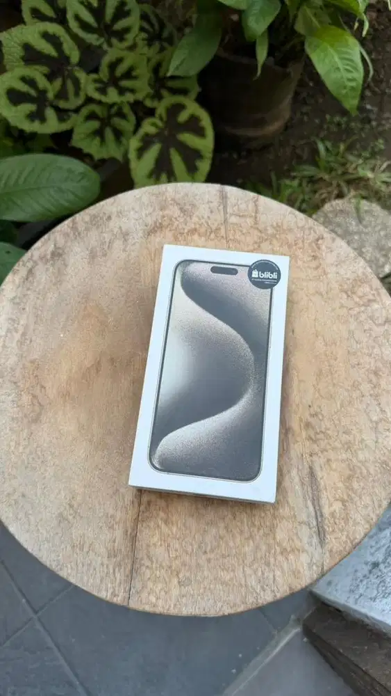 15 Promax 256 GB like new