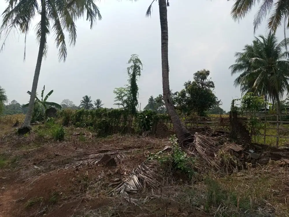 DIJUAL TANAH 4.076 M² KALIANDA LAMPUNG – Rp 250.000/M² (nego)