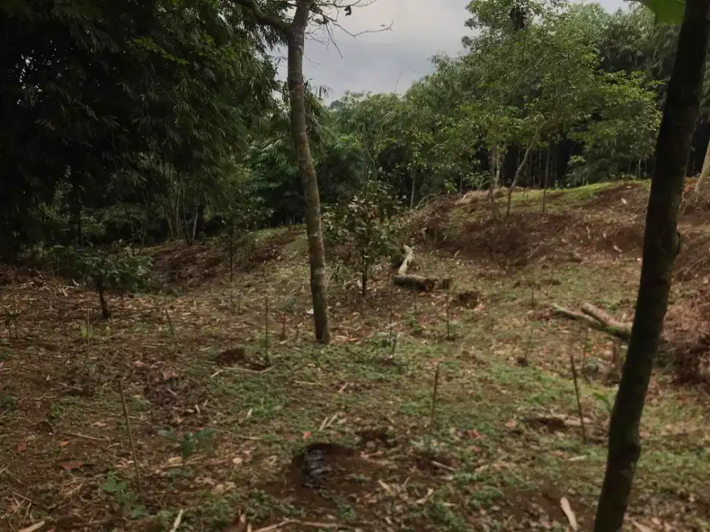 Di Jual Tanah Murah,Pinggir Jln Mobil